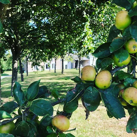Apple With Swimming Pool *